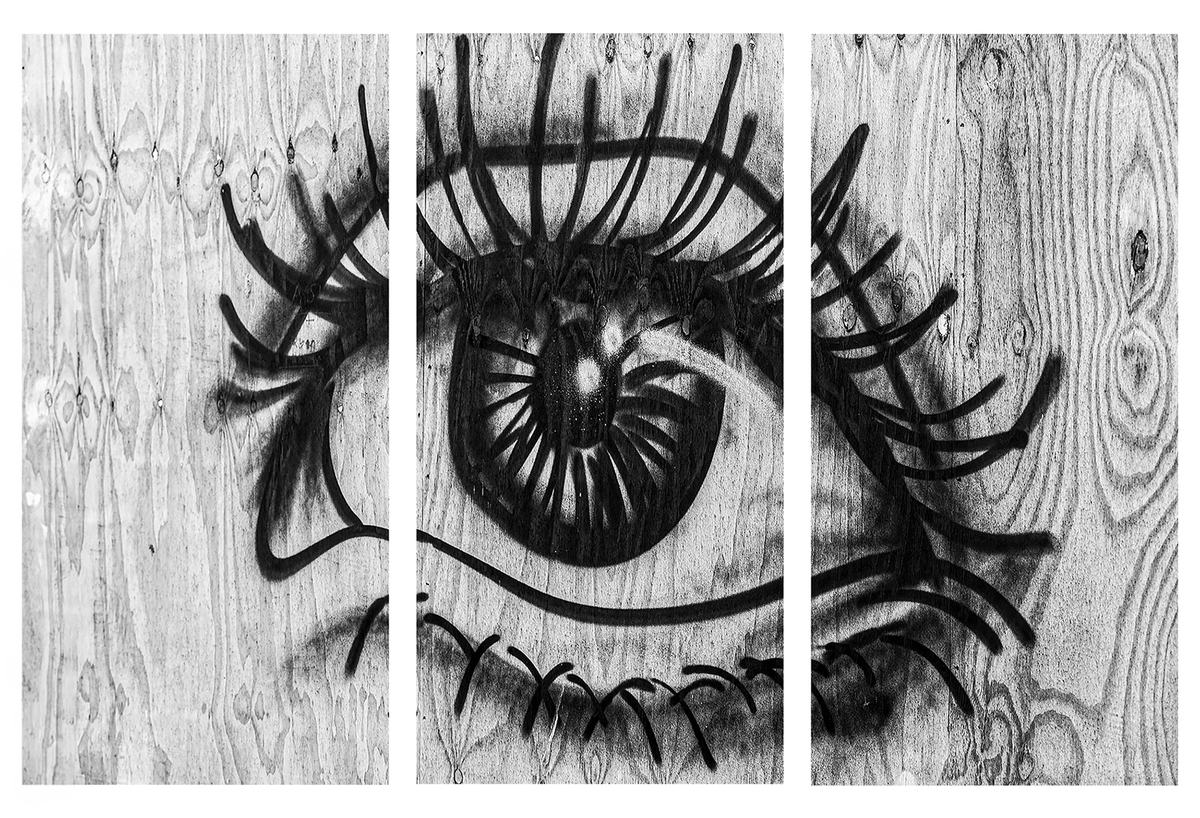 Eye See You - Steve Bird